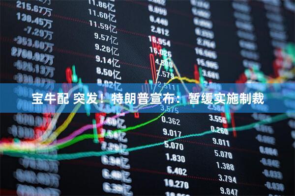 宝牛配 突发！特朗普宣布：暂缓实施制裁