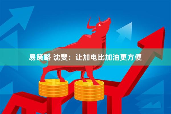 易策略 沈斐：让加电比加油更方便