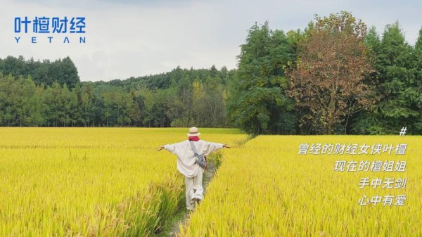 泓利财富 大金融杀跌，科技股逼空，慢牛到底怎么慢？